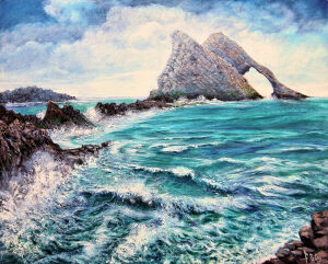 SEA35 Bow- Fiddle Rock Portnockie&hellip;