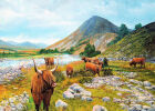 M15 Heelan Coos having a Gathering