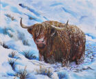 M19 Cold coo lost on the hill.